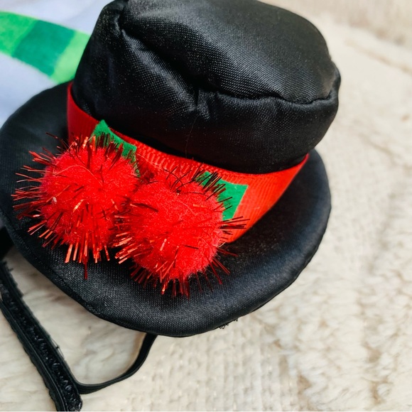 Thrills and chills Guinea pig Christmas Santa Claus 2 pc costume with hat. GUC - Picture 3 of 10